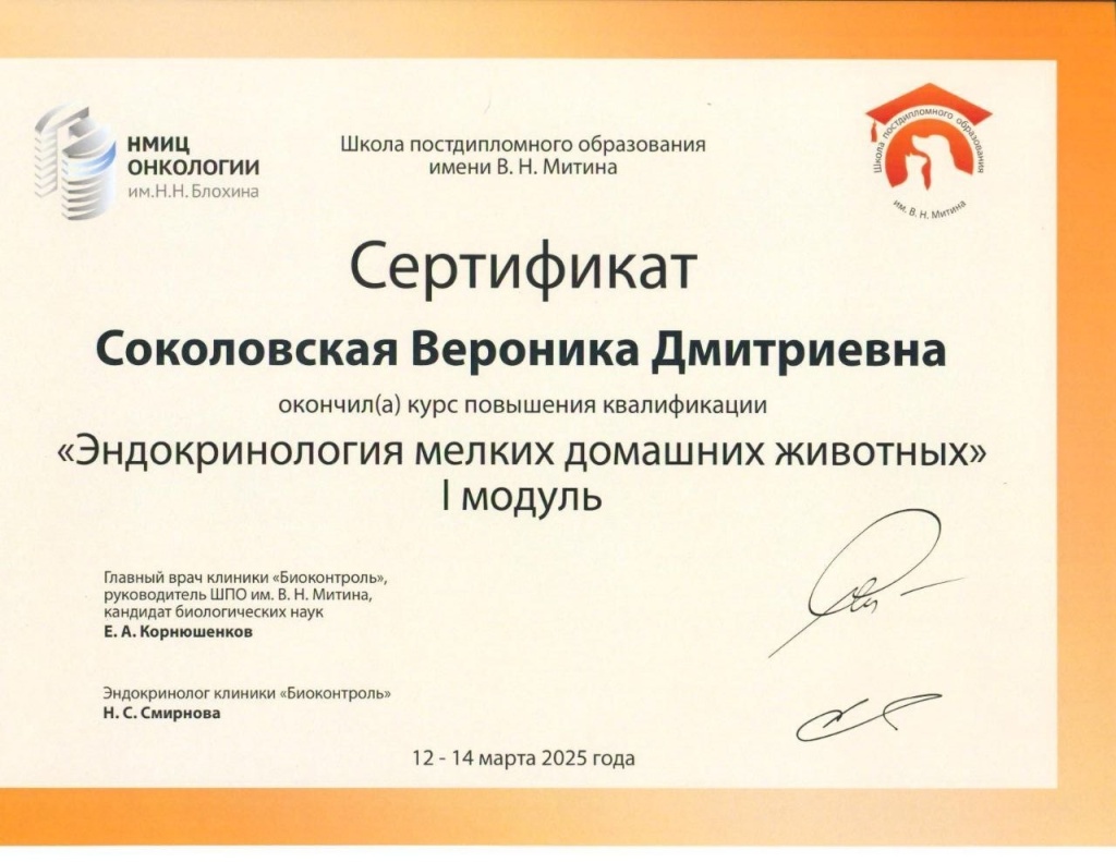 Курс Эндокринологии у мелких домашних животных