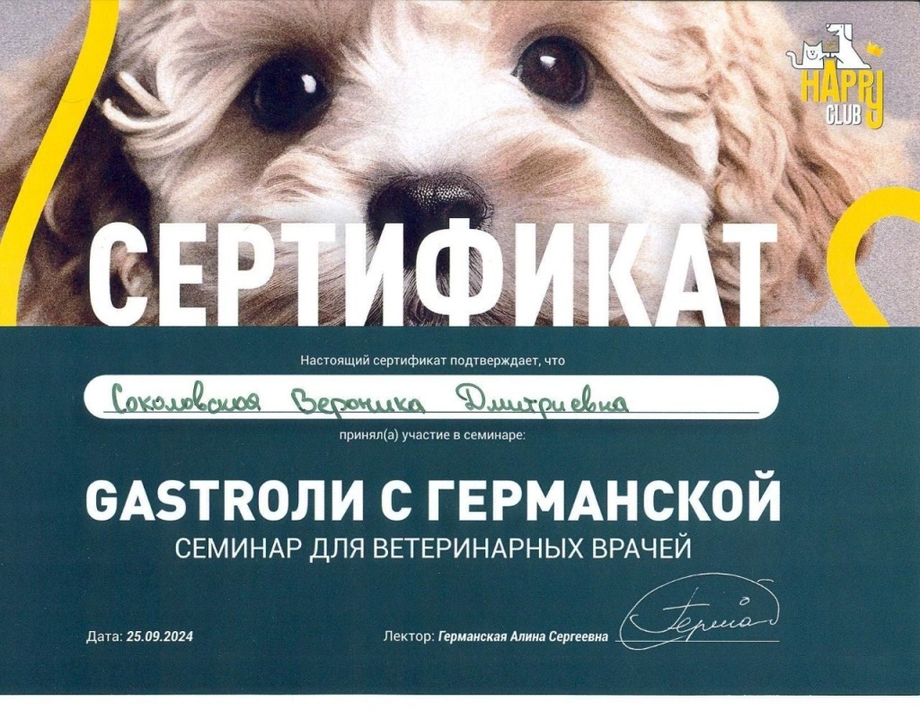 Семинар для ветеринарных врачей