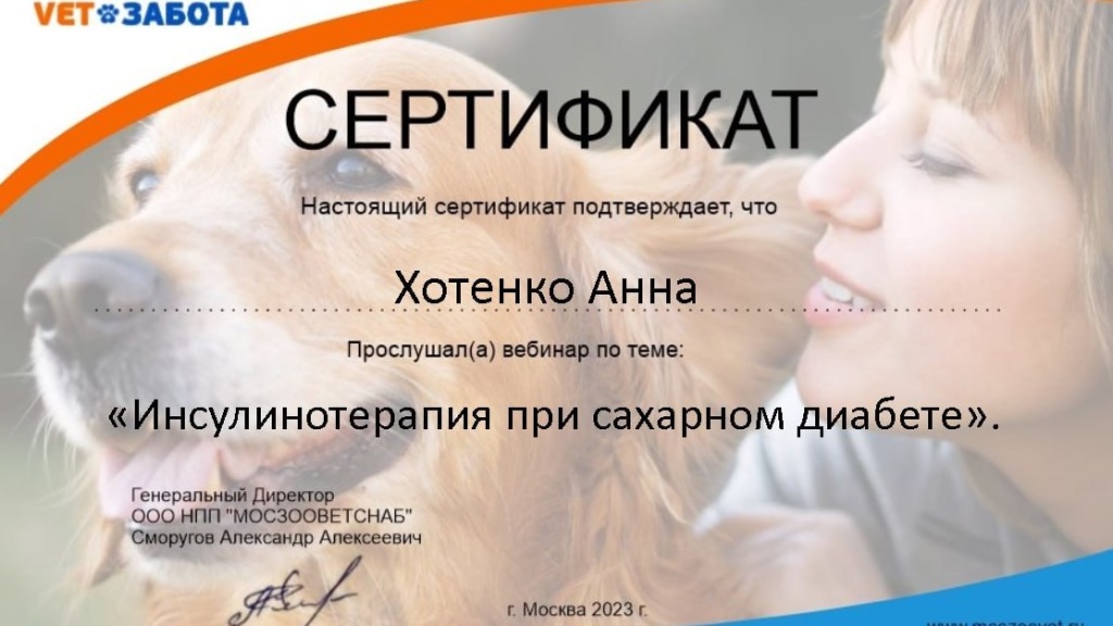 Сертификат 2