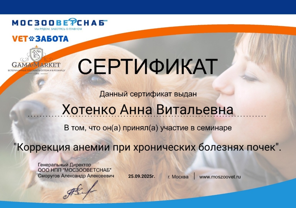 Сертификат 10