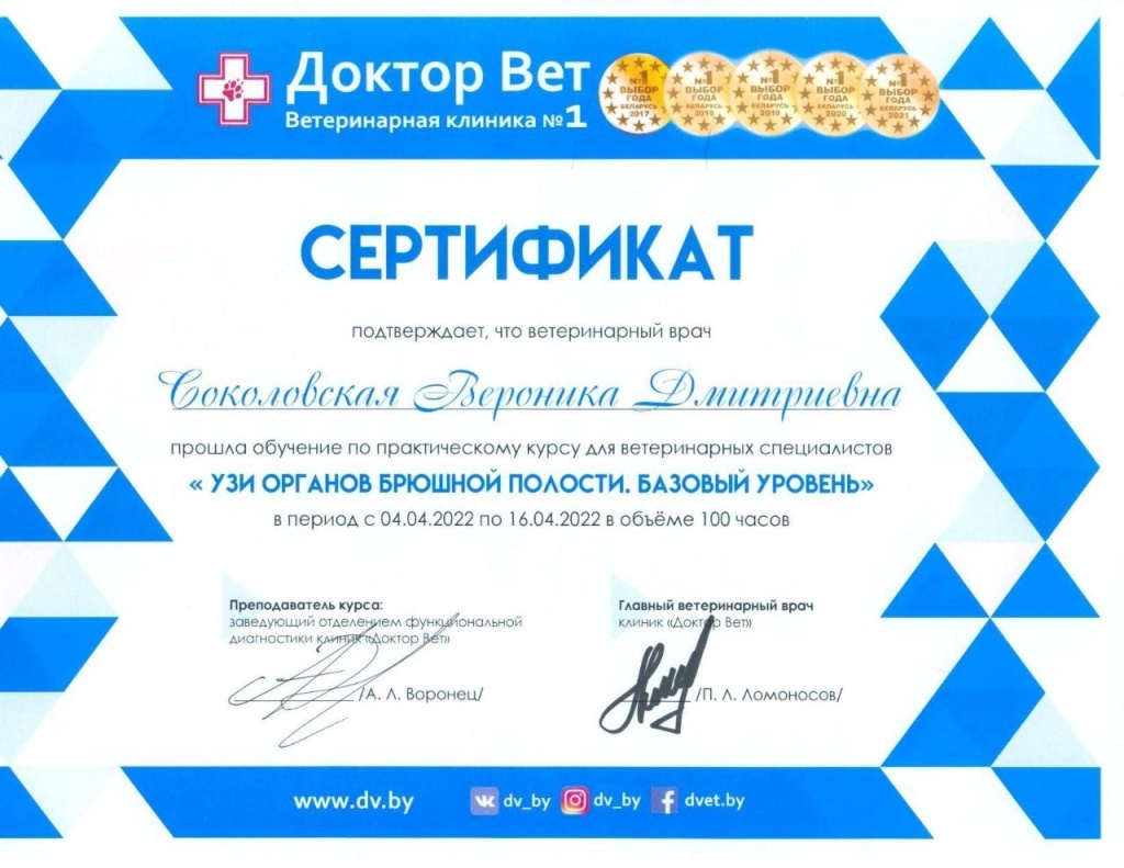 Курс Узи органов брюшной полости